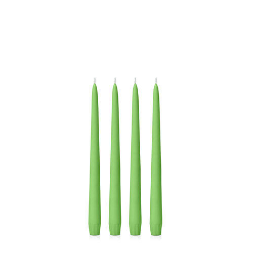 Lime 25cm Taper, Pack of 4