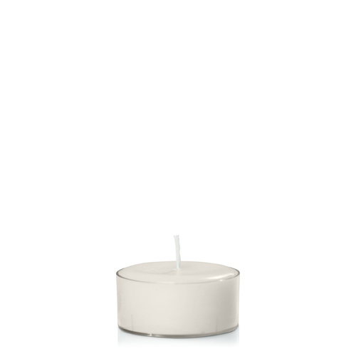 Stone Tealight, Pack of 24